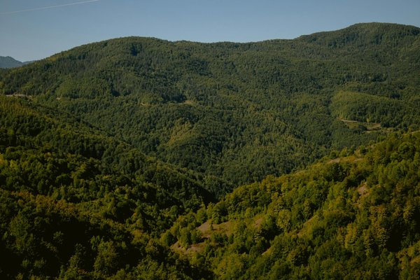 Prévention sociale et addictions : des outils pour prévenir et guérir